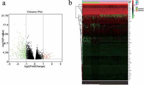 Figure 2. Differentially expressed mRNAs in the first 50 genes identified in the GEO database. (a) Volcano map of the mRNA expression values between gastric cancer samples and adjacent normal samples (red represents upregulated genes, green represents downregulated genes). (b) Hierarchical clustering heat map of differentially expressed mRNAs