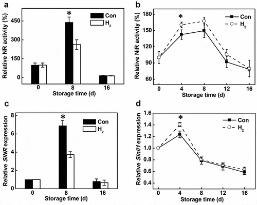 Figure 2. Changes of NR (a) and NiR (b) activities and corresponding transcripts (c and d). Asterisk denotes significant difference at P < .05 according to t-test