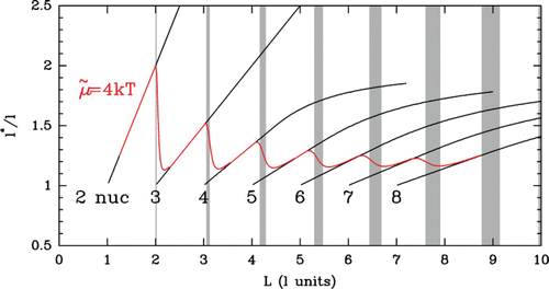 Figure 22. Theoretical NRL l* dependency on the box size L (see Figure 21); black dotted lines correspond to a fixed number n of nucleosomes and the red lines to the NRL size at a given chemical potential μ˜=4 kT. Vertical gray shaded bands correspond to the bistable domains. The distances are expressed in nucleosome length l units.