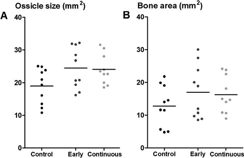 Figure 4. Radiographic data from rh-BMP 2 implants, with two different gray-scale thresholds for blind examination. Ossicle size (A) was measured with a low threshold, and “bone area” (B) with a higher threshold, giving a visual impression of being related to bone density. For comparison, both estimates are presented in mm2. Ossicle size was larger with etanercept treatment (pooled; p = 0.02).