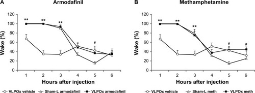Figure 2 The wake-promoting effects of armodafinil and methamphetamine are not attenuated in VLPOx rats compared to sham-L rats. Both (A) armodafinil and (B) methamphetamine produced a sustained increase in wake for approximately 3 hours in both VLPOx and sham-L rats. A persisting and significant increase in wake was observed into the (A) 5th hour post-injection hour and the (B) 6th post-injection hour in VLPOx rats compared to sham-L rats. Wake amounts during the 5th and 6th post-injection hours did not differ between armodafinil and methamphetamine injected VLPOx rats and VLPOx rats receiving vehicle injections.