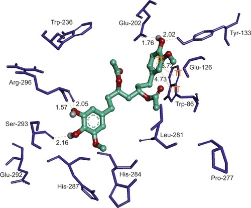 Figure 8 The lowest energy configuration of docking result of compound 7 with binding pocket of acetylcholinesterase.