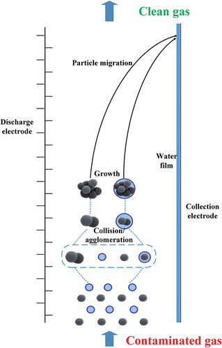 Figure 12. Schematic of particle removal process in wet ESP.