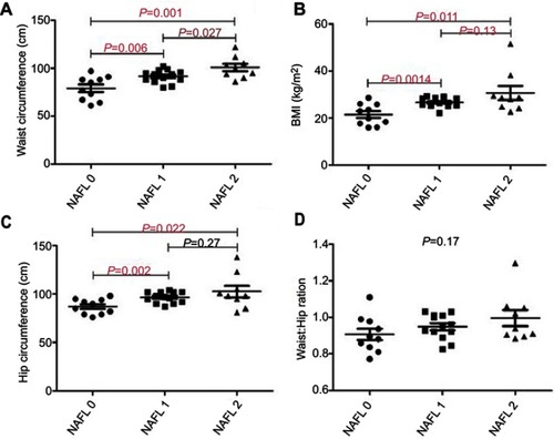 Figure 1 Anthropometric measures in participants with varying degree of nonalcoholic fatty liver (NAFL). (A) Participants with higher grade of fatty liver had a significantly higher waist circumference (WC). Post-hoc analyses indicate a significant increase in WC between each grade of NAFL. (B) Participants with fatty liver had a significantly higher body mass index (BMI) as shown by post-hoc analyses, which indicate a significant increase in BMI between NAFL 0 and NAFL 1, but not between NAFL 1 and NAFL 2. (C) Participants with fatty liver had a significantly higher hip circumference as shown by post-hoc analyses, which indicate a significant increase in hip circumference between NAFL 0 and NAFL 1, but not between NAFL 1 and NAFL 2. (D) Waist-to-hip ratio was not significantly different among fatty liver grade. Hepatic steatosis was assessed using ultrasound. n=10–13 per group. ANOVA with Bonferroni–Holm corrections analyses was performed.