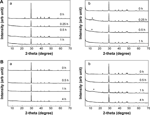 Figure S7 XRD patterns of B-Cal (a) and N-Cal (b) incubated ex vivo in fluids extracted from tissues: gastric fluid (A), intestinal fluid (B), and plasma (C).Note: Asterisks indicate the evolution of dicalcium phosphate dihydrate (JCPDS No 72-0714).Abbreviations: arb, arbitrary; B-Cal, bulk calcium carbonates; JCPDS, Joint Committee on Powder Diffraction Standards; N-Cal, nano calcium carbonates; XRD, X-ray diffraction; h, hours.