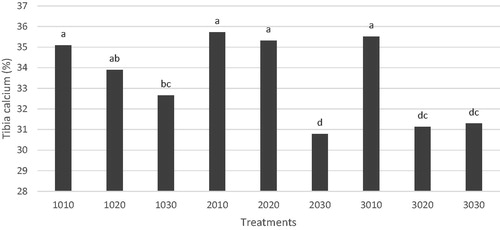 Figure 2. The interaction between starter and post-starter regimens on tibia calcium content on day 42. Dietary Ca and available phosphorus (aP) restriction regimens (left two digits represent restriction rates during the starter phase while right digits represent restriction rate during the post-starter period).