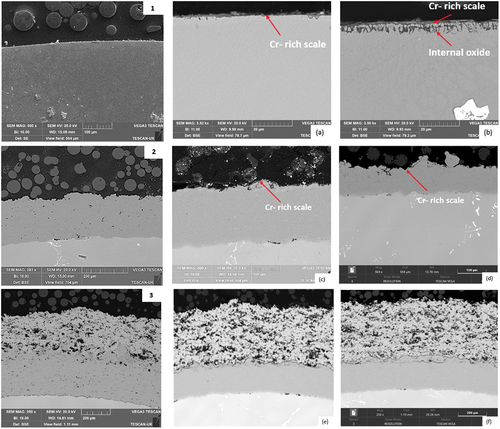 Figure 6. SEM micrographs of CM247. (1), (2) and (3) represent the unexposed samples of CM247, CM247+SC2464, and CM247+SC2464+8YSZ. respectively. (a) and (b) CM247 at 1000 h for test 1 and 2. respectively, (c) and (d) CM247+SC2464 at 1000h for test 1 and 2. respectively. whilst (e) and (f) CM247+SC2464+8YSZ at 1000h for test 1 and 2. respectively.