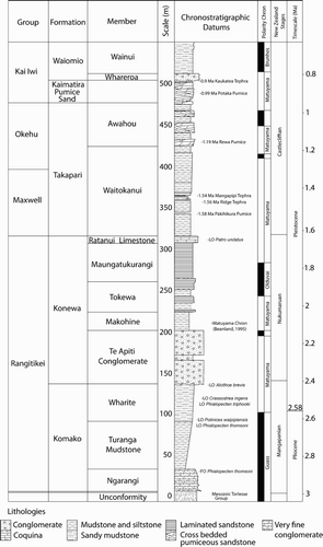 Figure 2. Composite stratigraphic column of the Lower Pohangina Valley succession.