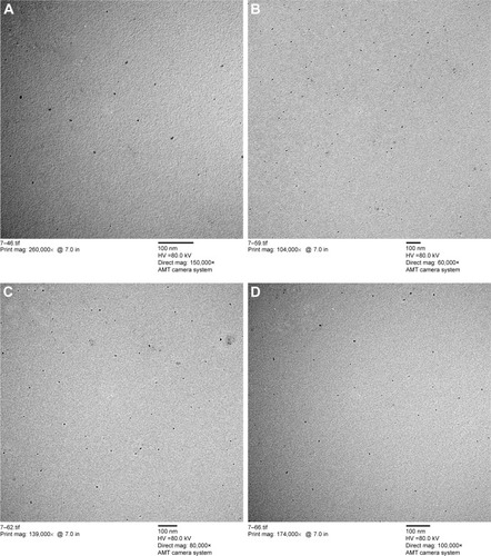 Figure 5 TEM images of the formulations.Notes: (A) NE; (B) NG1; (C) NG2; (D) NG3. NG1, NG2, NG3: NE gels containing 1%, 2%, and 3% (w/w) Carbopol® 934, respectively.Abbreviations: NE, nanoemulsion; NG, NE gel; TEM, transmission electron microscopy.