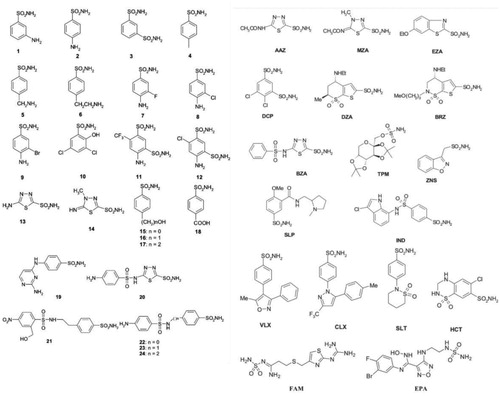 Figure 2. The molecular structures of the sulphonamide analogues used in this study (1–24) as well as selected clinically used agents.