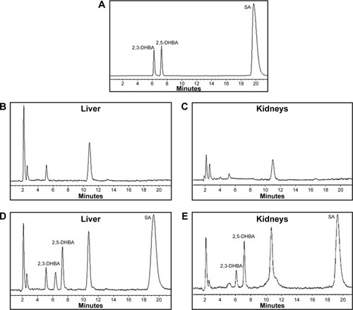 Figure 5 HPLC spectrophotometric detection.Notes: Separation of 2,3-DHBA, 2,5-DHBA, and SA (standard solution) (A), for the livers (B) and kidneys (C) of mice not treated with salicylate, and the liver (D) and kidneys (E) of mice following salicylate injection. The reverse-phase HPLC analyses were performed with an Eclipse Plus C18 column (100×4.6 mm, 3.5 µm), a flow rate for the HPLC mobile phase (pH 4.75) of 0.7 mL/min, an excitation wavelength of 310 nm, and an emission wavelength of 440 nm.Abbreviations: HPLC, high-performance liquid chromatography; DHBA, dihydroxybenzoic acid; SA, salicylic acid.