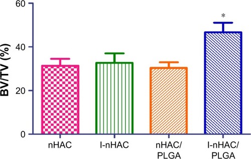 Figure 7 Histomorphometric measurements based on Goldner’s trichrome staining at the eighth week postimplantation (n=6, mean ± SD). *Compared to nHAC. Differences are significant at p<0.05.Abbreviations: BV/TV, bone volume per total volume; nHAC, nano-hydroxyapatite/collagen; PLGA, poly lactic-co-glycolic-acid.