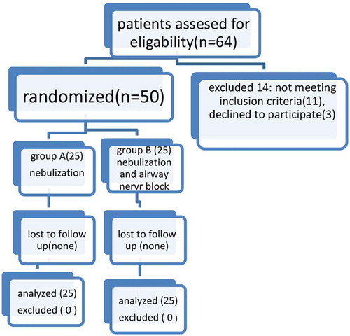 Figure 1. Consolidated flow diagram showing patient progress through the study.