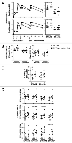 Figure 6. The IL-12 DNA-adjuvanted group developed broader humoral immune responses. (A) Endpoint titers of binding antibodies to SIVmac251 Gag (upper panel) and SIVmac251 Env (lower panel) were measured in pooled plasma samples (left panels). The right panels show the data from individual animals at 2 and 24 weeks post EP4. The mean and SEM values are shown. (B) Endpoint titers of binding antibodies to SIVmac239 (left panels) and SIVsmE660 (right panels) Env were measured in individual animal at 2 and 24 weeks post EP4. (C) Avidity index of the SIVmac239 Env bAb. The avidity of two of the 8 animals in the un-adjuvanted group could not be assessed at both time points. The antibody binding titers and avidity index were determined from parallel plates. (D) Neutralizing antibody titers from individual plasma samples from the vaccinated macaques against SIVmac251-TCLA (upper panel), and against the SIVsmE660 BR-CG7G (middle panel) and BR-CG7V (lower panel) Env proteins at 2, 8, 16 and 24 weeks post EP4 are shown. The bars represent mean and SEM values.