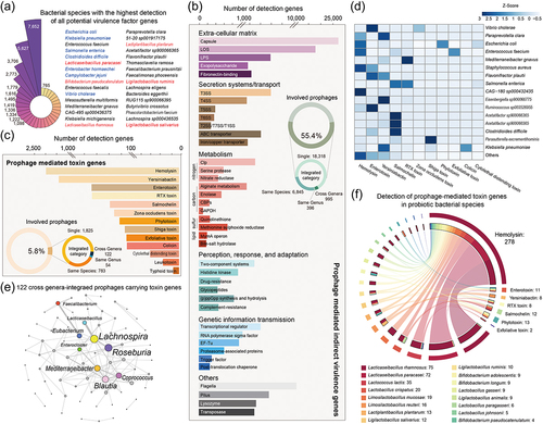 Figure 5. The prediction of virulence factor genes among human gut-derived bacterial prophages. (a) bacterial species with the highest detection of all potential VFGs. The captions are arranged in order of detection frequency from top to bottom and from left to right. The bacterial species in blue font are (conditional) pathogenic bacteria and the bacterial species in red font are probiotics. (b) the number of detected prophage-mediated indirect VFGs. (c) number of detected prophage-mediated toxin VFGs. The circles represent the VFGs detection frequencies of prophages with different integration host ranges. (d) the heatmap illustrates the bacterial species with the highest detection of various prophage-mediated toxin VFGs. (e) the network displays the host interactions of 122 cross-genera integrated prophages with detected toxin VFGs. (f) detection of prophage-mediated toxin genes in probiotic bacterial species.