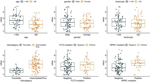 Figure 6. The correlation between risk score and clinical characteristics (age, gender, leukocyte, risk category, FLT3 mutation and NPMc mutation).