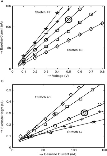 Fig. 3.  Effect of set voltage and stretch on baseline current and blockade height. Each point represents the average of 3 pores. Lines are linear fits to the data. Panel A shows the relationship between baseline current, stretch and voltage. Panel B shows the relationship between blockade height and baseline current. The combination of parameters selected for further optimization is indicated with a bold circle.