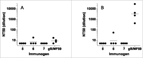 Figure 6. Neutralizing titers (NT50) from rabbits immunized with CRM-conjugated AD-2 peptides or gB with MF59 adjuvant. (A) sera alone, (B) with added rabbit complement. The lower limit of detection is a 1:5. Horizontal bars represent the geometric mean of each group. None of the AD-2 peptide vaccines were superior to gB/MF59.