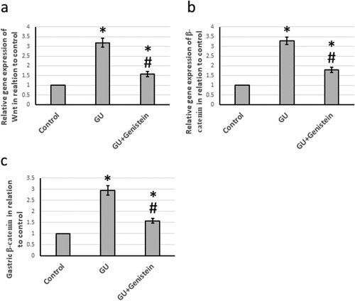 Figure 4. Effect of gastric ulcer (GU) and 25 mg/kg genistein on gene expression of Wnt (a) and β-catenin (b) as well as the gastric level of β-catenin (c). * Significant difference as compared with control group at p < 0.05. # Significant difference as compared with GU group at p < 0.05.