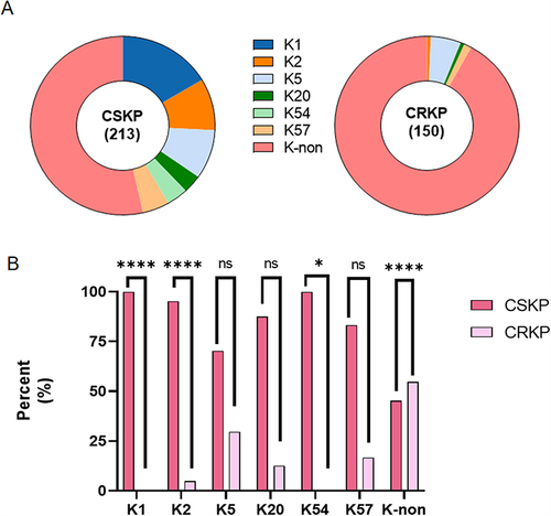 Figure 1 Proportion of capsular serotypes. Figure (A) shows the percentage of each capsule serotype in the CSKP and CRKP groups. The comparison of capsule serotypes between CSKP group and CRKP group was shown in Figure (B). “****” means P<0.0001, “*”means P<0.05, “ns” means no statistically significant difference between the two groups.