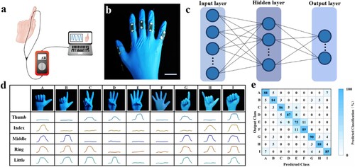 Figure 6. PFA-based machine learning-optimised gesture recognition system. (a) Schematic diagram of the gesture recognition system based on the PFA; (b) Physical optical images of intelligent sensing gloves. Scale bar: 3 cm. (c) Neural network processing flowchart for sensing signals; (d) Optical images of 9 gestures and their corresponding five-finger signal curves; (e) Confusion matrix for gesture recognition results.