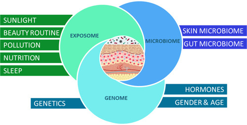 Figure 5 Skin interactome. Schematic view combining the various factors affecting skin health and skin aging in relation to the “genome-microbiome-exposome” (GME) interfaces.