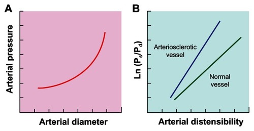 Figure 1 (A) An exponential relation between blood pressure and arterial diameter under stable physiological condition. (B) Linear relation between natural logarithm of systolic (Ps) – diastolic (Pd) pressure ratio (In Ps/Pd) and arterial wall distensibility.