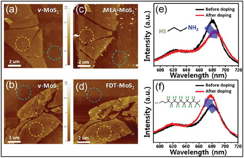 Figure 17. (a,b) AFM images of 4-layer MoS2 after thermal annealing on a SiO2/Si substrate. (c,d) AFM images of the same MoS2 samples after the doping process using MEA and FDT, respectively. The surface roughness of each sample was calculated using these AFM images collected from the blue circle (substrate) and yellow circle (MoS2 surface). PL spectra of functionalized MoS2 before and after doping process; (e) n-doping phenomenon (MEA), (f) p-doping phenomenon (FDT). Adapted with permission from ref 22. Copyright © 2015 American Chemical Society.