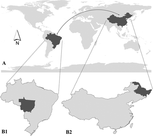 Figure 3. Receiving and sending systems in the telecoupled soybean system. A: sending and receiving countries connected through flows of soybeans; B1: Major soybean production region in the sending system; B2: Major soybean production region in the receiving system. Note B1 and B2 are in the same scale (1: 70,000,000). The dark-shaded area in B1 and B2 is the focal regions in the two countries.