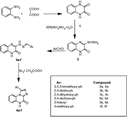 Scheme 1. 2,3-Substituted-quinoxaline and 1,4-substituted-[1,2,4]triazolo[4,3-a]quinoxalin derivatives.