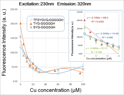 Figure 3. Effect of copper concentration on quenching of 230 nm excitation/3;20 nm emission signals by three G5H-conjugated GFP fluorophore-derived oligo-peptides. Peptides (30 μM) used were as in Figure 2. Quenching of fluorescence was performed with 5–100 and 100 μM CuSO4 was assessed. Three different symbols represent the data points obtained. Curves were merely approximation of the response (note that they are not regression curves). In the inset, linear relationships between the remitted range of Cu concentration (up to 40 μM) and the decrease in peptidic fluorescent signals are shown.