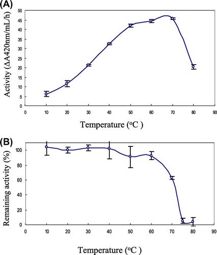 Fig. 8. Temperature optimum and thermal stability of the yam chitinase purified from recombinant P. pastoris X-33.Notes: Panels: (A) The optimum temperature of the purified chitinase was measured by incubation of 50 nm chitinase with 0.05% glycolchitin in Britton-Robinson buffer, pH 8.0, for 5–60 min at temperatures of 10–80 °C; (B) the thermal stability of the purified chitinase was determined by measuring the remaining activity after incubation of 50 nm chitinase in Britton-Robinson buffer, pH 8.0, for 15 min at temperature range of 10–80 °C.