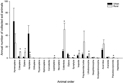 Figure 2. Annual number of collected soil animals of different orders in urban and rural areas. Asterisks (*) indicate significant differences in the numbers of soil animals between urban and rural areas (Student’s t-tests, P < 0.05)