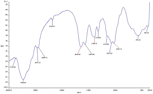 Figure 2. FTIR spectral of carboxmethyl chitosan zinc supplement.