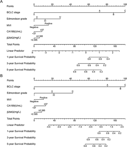 Figure 3 Nomograms for the prediction of 1-, 3- and 5-year OS. (A) The nomogram of the training cohort; (B) The nomogram of the validation cohort.