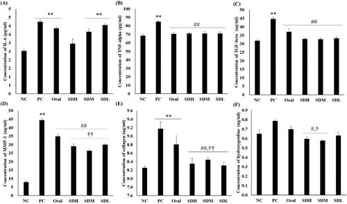 Figure 7. ELISA of bleomycin-induced idiopathic pulmonary fibrosis in rats after drug administration (n = 5, mean ± standard error). (A) Interleukin-6 (IL-6). (B) Tumor necrosis factor-alpha (TNF-α). (C) Transforming growth factor-beta (TGF-β). (D) Matrix metalloproteinase-2 (MMP-2). (E) Collagen. (F) Hydroxyproline. ** ANOVA, p-value < 0.005 compared with NC; # ANOVA, p-value < 0.05 compared with PC; ## ANOVA, p-value < 0.005 compared with PC; † ANOVA, p-value < 0.05 compared with Oral; †† ANOVA, p-value < 0.005 compared with Oral.