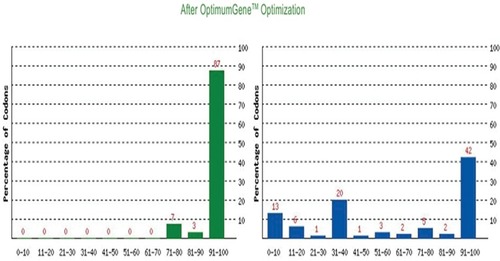 Figure 13 Frequency of Optimal Codons (FOP) (Right: before optimization and Left: after optimization).