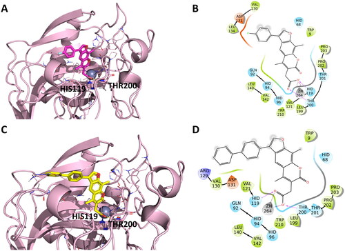 Figure 4. Representation of the putative binding mode of the EMAC10164 series most potent compounds obtained by docking experiments in complex with hCA IX. (A) 3D depiction of EMAC10164d and its respective interactions with CA IX residues; (B) 2D depiction of interactions; (C) 3D depiction of EMAC10164g and its respective interactions with CA IX residues; (D) 2D depiction of interactions.