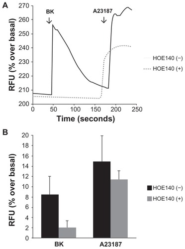 Figure 2 Bradykinin induces elevations in intracellular Ca2+ in A498 cells.Notes: Cells grown on collagen-coated cover slips were incubated with the calcium-sensitive probe Fluo-4AM, and the detection of calcium-dependent fluorescence was performed with a confocal microscope as described in the Materials and methods section. Changes in fluorescence (intracellular free calcium) were recorded as changes in gray-scale intensity. (A) Shown are representative tracings from two recordings in the presence or absence of the BK B2 receptor antagonist HOE140 (1 μM). (B) Average values of percentage increase over basal in grey-scale intensity subsequent to the addition of BK (100 nM) or the calcium ionophore A23187 (3 μM). Experiments were performed three times.Abbreviation: BK, bradykinin; RFU, relative fluorescence units.