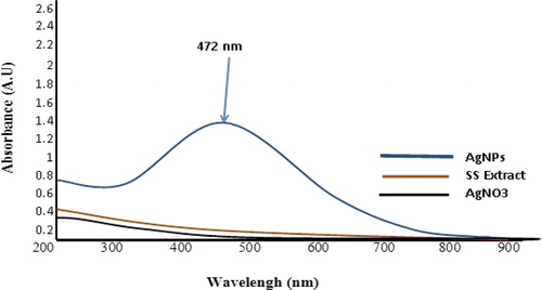 Figure 3. UV-Vis spectra analysis of synthesized AgNPs using Summer Savory extract.