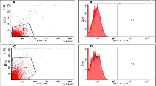 Figure 5 Flow cytometric charts showing fluorescence of E. coli isolate (A) dot plot and (B) histogram, before treatment, and (C) dot plot and (D) histogram after treatment with BRFE (125 µg/mL).