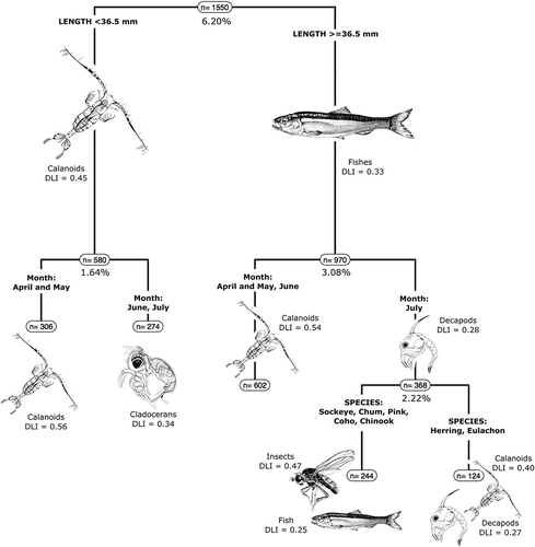 FIGURE 4. Multivariate regression tree showing the discriminating explanatory variables and important indicator species (DLI > 0.15) in the stomach contents of juvenile Pacific salmon, Pacific Herring, and Eulachon. The percentages at the nodes are the percentages of the total variation explained by the different splits. Sample sizes (n) are also given for the different groups produced by the splits. Only the one or two most important indicator species are illustrated here. See text for more details. (Images courtesy of J. Holden.)