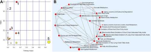 Figure 4 The metabolome view of pathway enrichment analysis comparing LAC patients and controls. (A) Overview of the most important metabolomic changes observed by ND-EESI-MS in sputum of lung adenocarcinoma patients, 1: Sphingolipid metabolism, 2: Tyrosine metabolism, 3: Ubiquinone and other terpenoid-quinone biosynthesis, 4: Arginine and proline metabolism, 5: Linoleic acid metabolism. (B) Metabolic network showing significant differences in sphingolipid metabolism, fatty acid metabolism, carnitine synthesis and Warburg effect, etc.