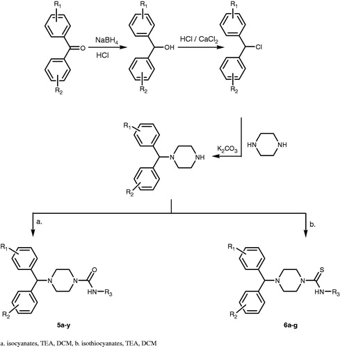 Figure 1. Synthesis of compounds 5a–y and 6a–g.