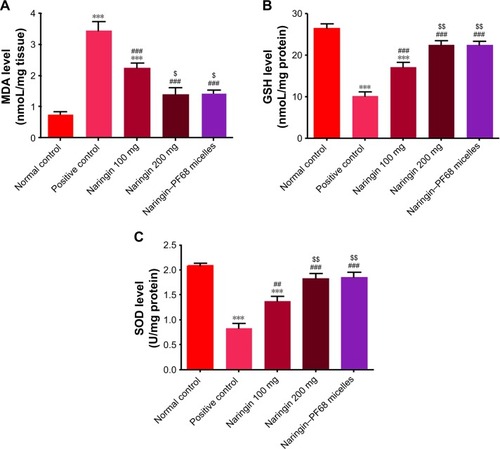 Figure 10 Effects of naringin oral pretreatment on ethanol-induced changes in oxidative stress markers.Notes: (A) MDA, (B) GSH, and (C) SOD in comparison with normal and positive control groups. Data are mean ± SD, n=6. ***P<0.001 vs normal control group. ##P<0.01, and ###P<0.001 vs positive control group. $P<0.05 and $$P<0.01 vs 100 mg/kg naringin pretreated group.Abbreviations: GSH, reduced glutathione; MDA, malondialdehyde; PF68, pluronic F68; SOD, superoxide dismutase.