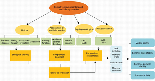Figure 2. Diagnosis and treatment process of vestibular rehabilitation in central vestibular disorders and vestibular dysfunction. The diagnosis of central vestibular diseases mainly included history, assessment of vestibular function, psychophysiological, risk assessment and so on. Etiological therapy, symptomatic treatment, personalized rehabilitation especially VOR suppression, Memory VOR, Anti-Saccade, Memory saccades play the leading role. VOR, Vestibulo-Ocular Reflex; DHI, Dizziness Handicap Inventory; Hads, Hospital Anxiety Depression Scales; ABC, Activity-specific Balance Confidence Scale; SSS, Somatic Self-rating Scale.