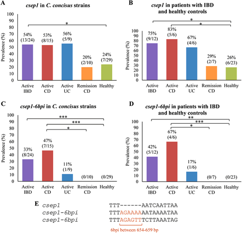Fig. 3 The prevalence of csep1 and csep1-6bpi genes in patients with IBD and healthy controls.a The prevalence of the csep1 gene in C. concisus strains isolated from active IBD was significantly higher than that from healthy controls (P = 0.045). b The prevalence of csep1-positive C. concisus strains from active CD was significantly higher than that from healthy controls (P = 0.019). c A six bp insertion (6bpi) at position 654–659 bp was mainly found in the csep1 genes (csep1-6bpi) from C. concisus strains isolated from active CD, not from remission CD and healthy controls. (P = 0.02 and P = 0.0002, respectively). d The prevalence of csep1-6bpi positive C. concisus strains in patients with active CD was significantly higher than that in remission CD and health controls (P = 0.021 and P = 0.0006, respectively). e Majority of the csep1-6bpi contained AGAAAA between 654 and 659 bp, while only one contained AGAGTT. *Indicates statistical significance (*P < 0.05, **P < 0.01 and ***P < 0.001). CD Crohn’s disease, UC ulcerative colitis