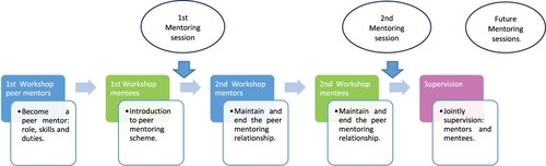 Figure 1. SAI Peer Mentoring Scheme.