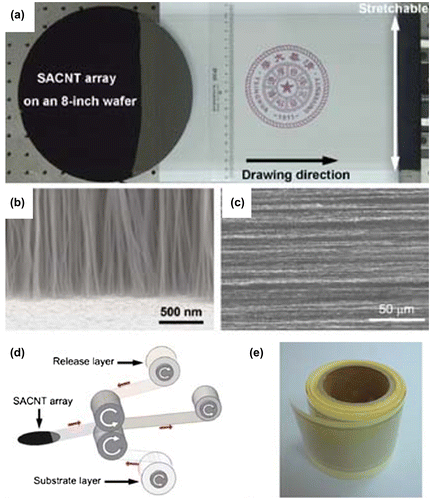 Figure 1. (a) Freestanding CNT film drawn out from a 230-μm high superaligned CNT (SACNT) array on an 200 mm silicon wafer. (b) Scanning electron microscopy (SEM) image of the CNT array on the silicon wafer in side view. (c) SEM image of the CNT film in top view. (d) Illustration of the roll-to-roll setup for producing composite TCFs. (e) A reel of CNT/PE composite TCF produced by the roll-to-roll setup. (Reprinted with permission from [Citation44], copyright 2011 Wiley-VCH.)