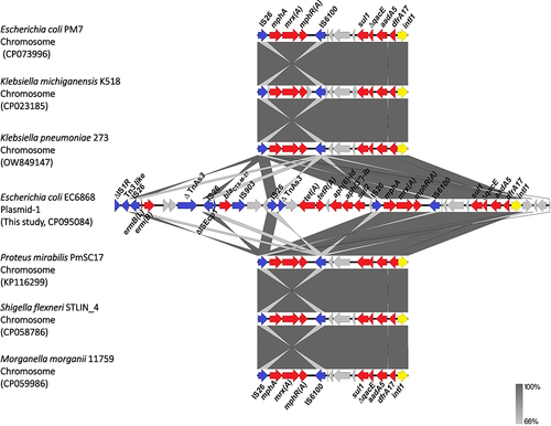 Figure 4 Comparison of the gene cluster containing IS26-mphA-mrx(A)-mphR(A)-IS6100 and the complex class 1 integron carried by plasmid pEC6868-1with chromosomes of other pathogenic bacteria other than Escherichia coli. Resistance, transposase, and integrase genes are shown in red, blue, and yellow, respectively.